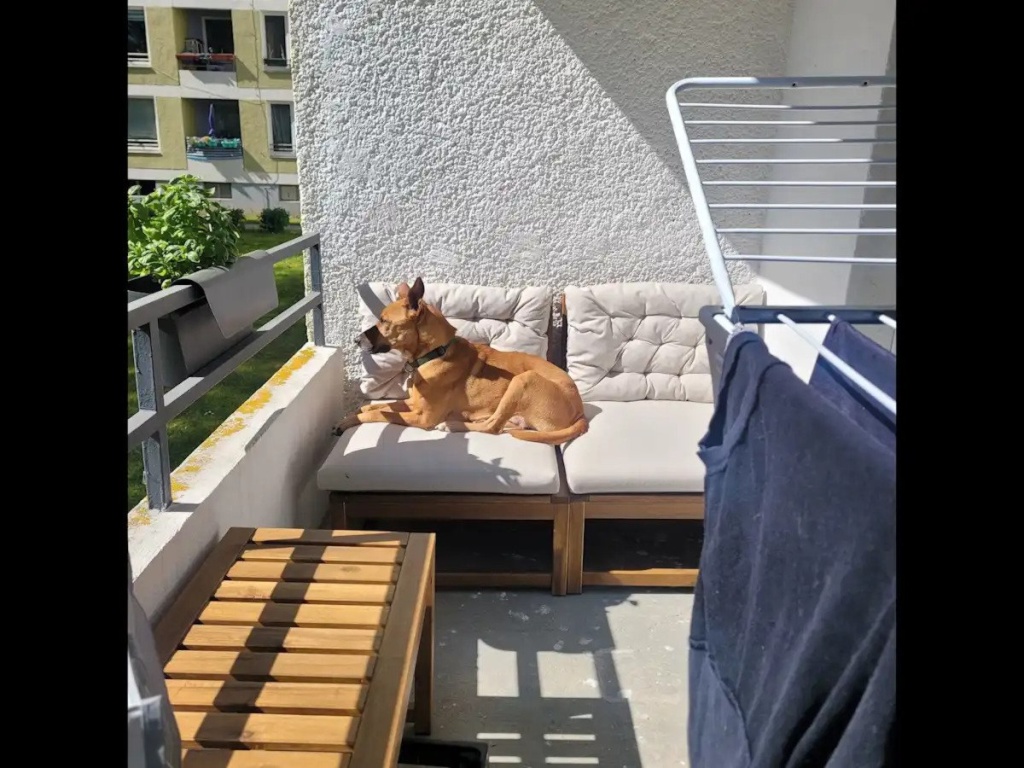 3-Zimmer-Wohnung mit Balkon in Göttingen-Grone-Nord – Pestalozziweg 4, 37081 Göttingen Grone-Nord – Vorschaubild 9