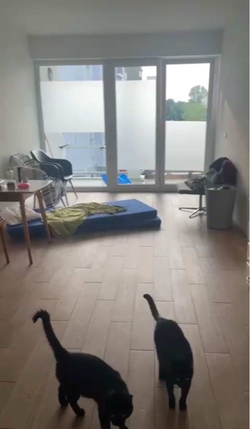 Wohnung Friedrichshain Gürtelstraße - Bild 3