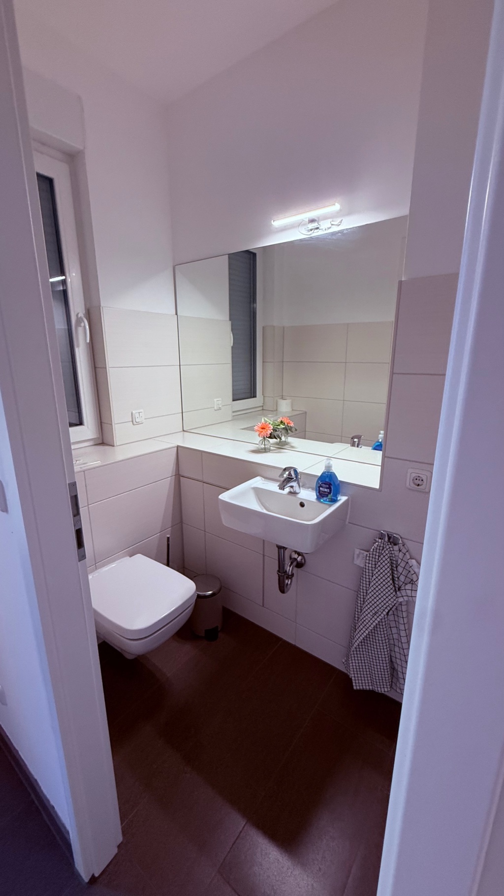 WG-Zimmer Adlershof Newtonstraße 11 - Gäste WC EG
