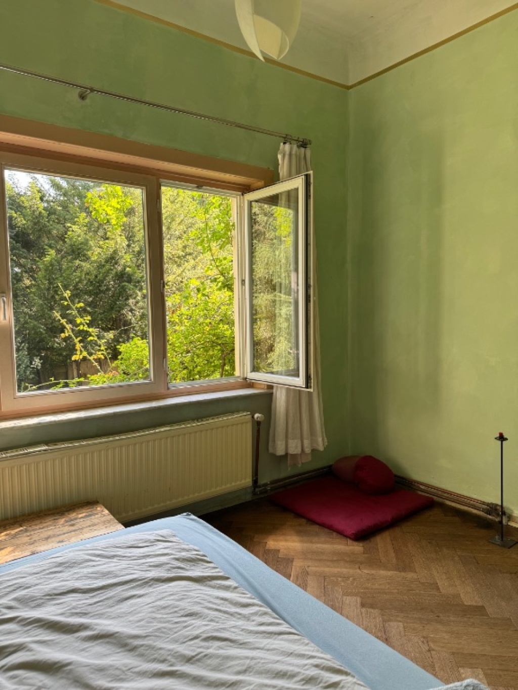 Jugenstilwohnung mit Garten – Birrenkovenallee 13, 22143 Hamburg Rahlstedt – Vorschaubild 4