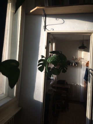 Anzeigenbild
