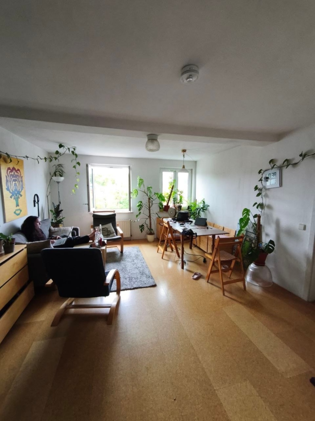 Große und günstige Wohnung am Steintor