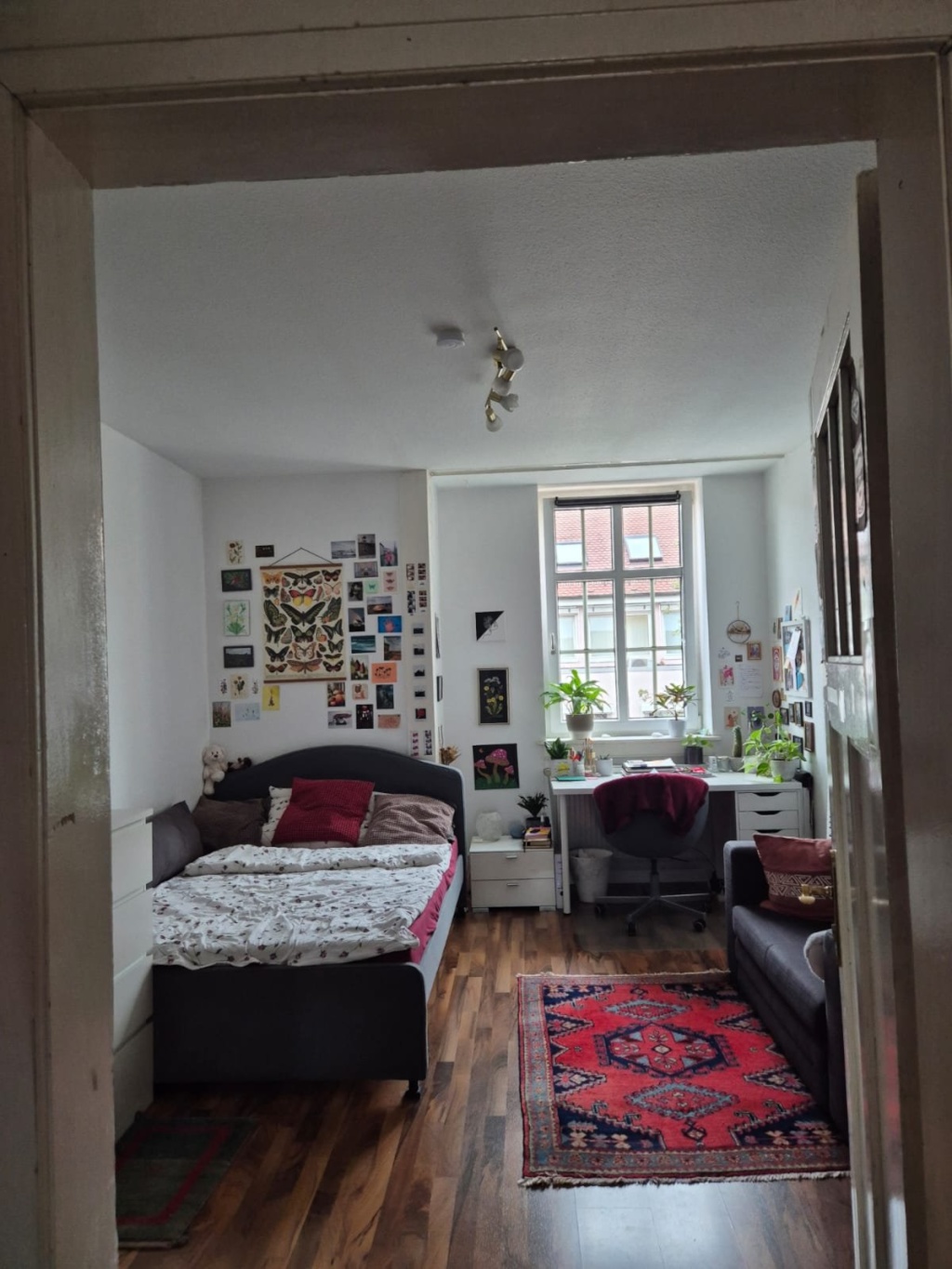 Flatshare Innenstadt Heinrichstraße 4a - Dein Zimmer