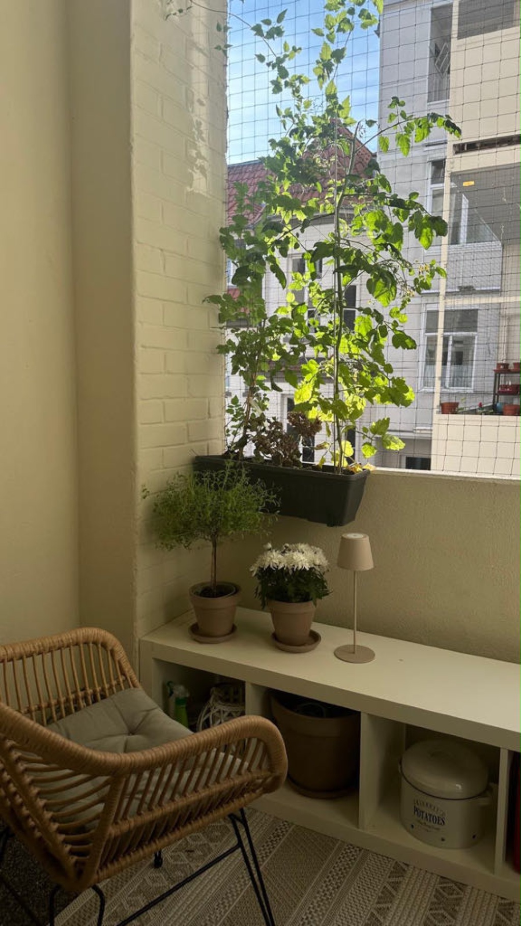 Habitación en WG Süd Marienplatz - foto 5