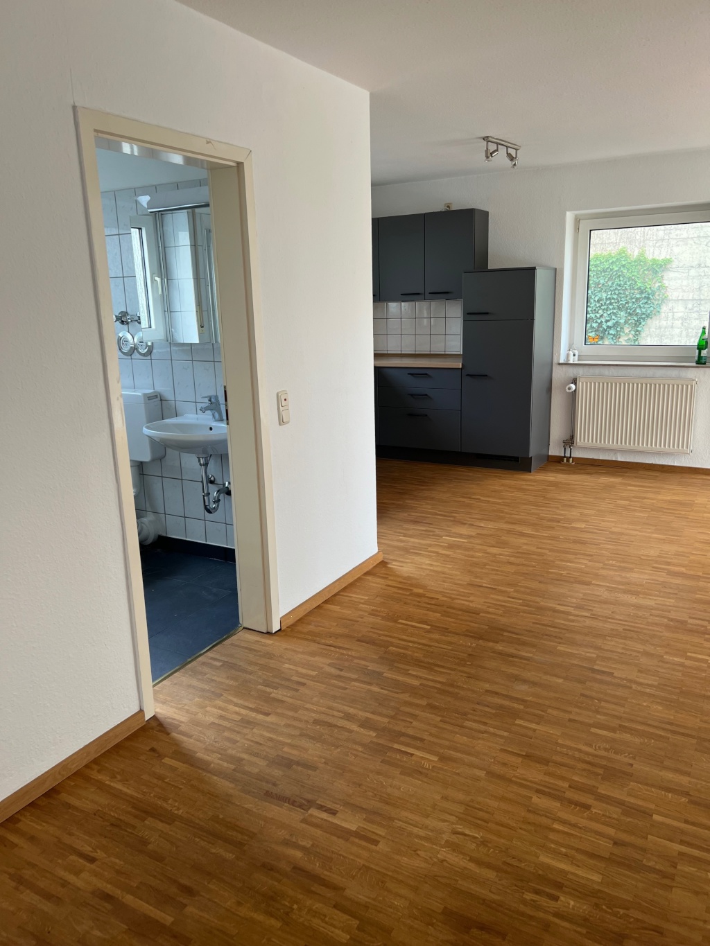 Flat Gießen Mittelweg 7a - Blick in der Wohnung mit Badtüre und links hinten Küche