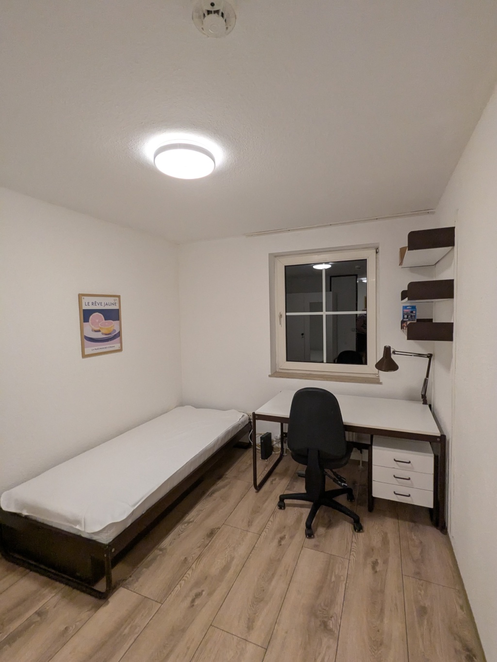 1-Zimmer-Wohnung in ruhiger Stadtlage – nur 200 m zur Uni! – Dr.-Hans-Kapfinger-Straße 13, 94032 Passau Altstadt – Vorschaubild 3