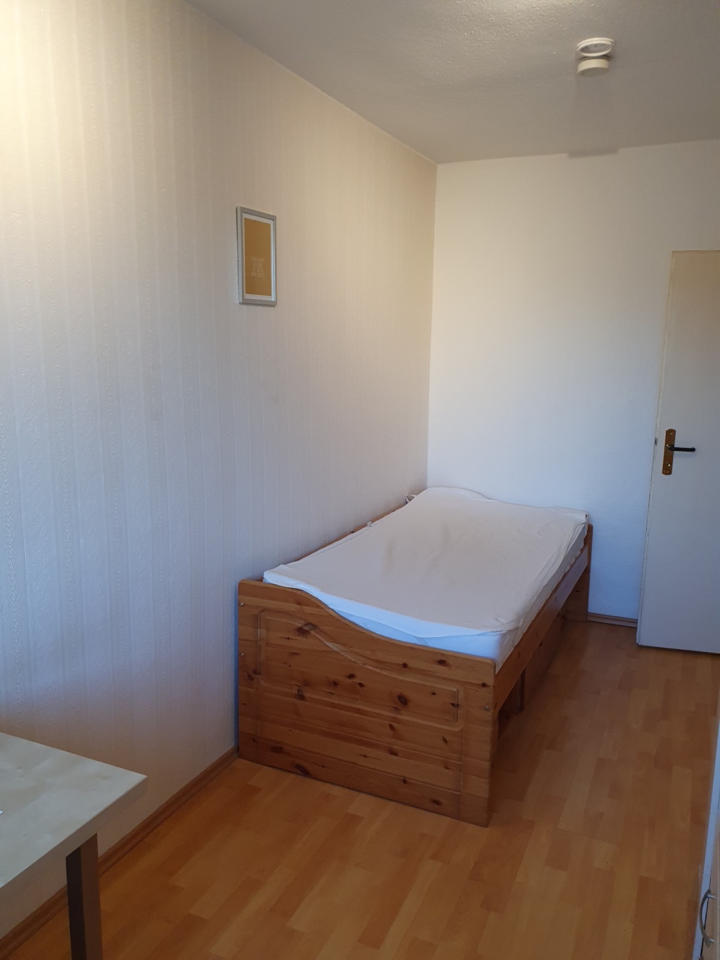 Frauen WG Berliner Norden,, S25 möbliert – Foto 3