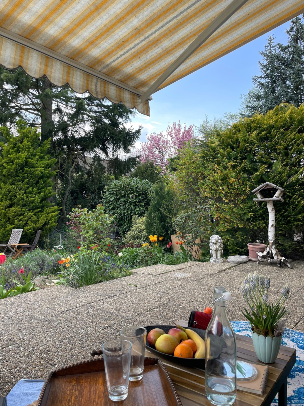 Schönes Zuhause mit Garten, Kamin & Balkon zur Zwischenmiete in Frankfurt-Dornbusch – 60320 Frankfurt am Main Dornbusch – Vorschaubild 11