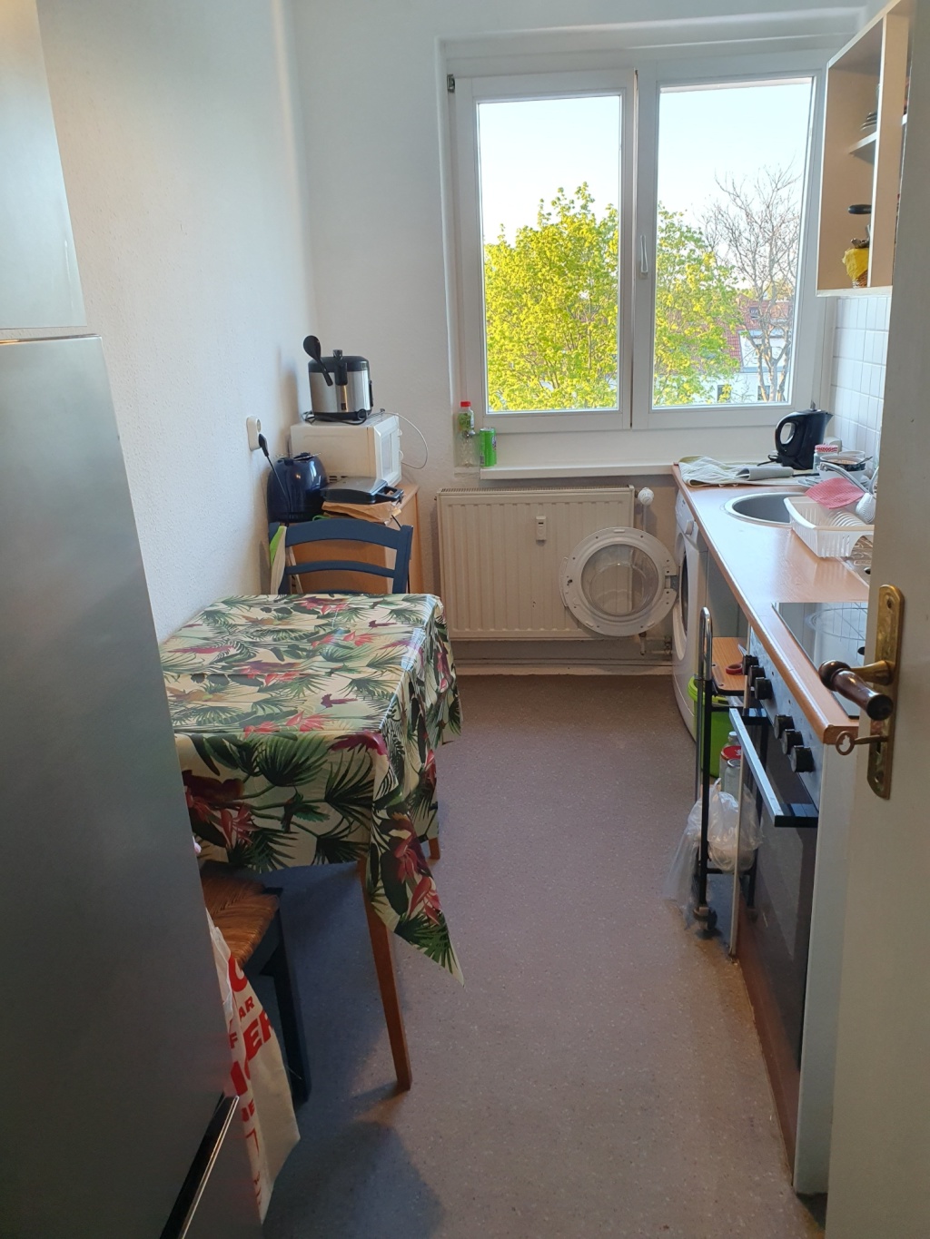 Frauen WG Berliner Norden,, S25 möbliert – Foto 12