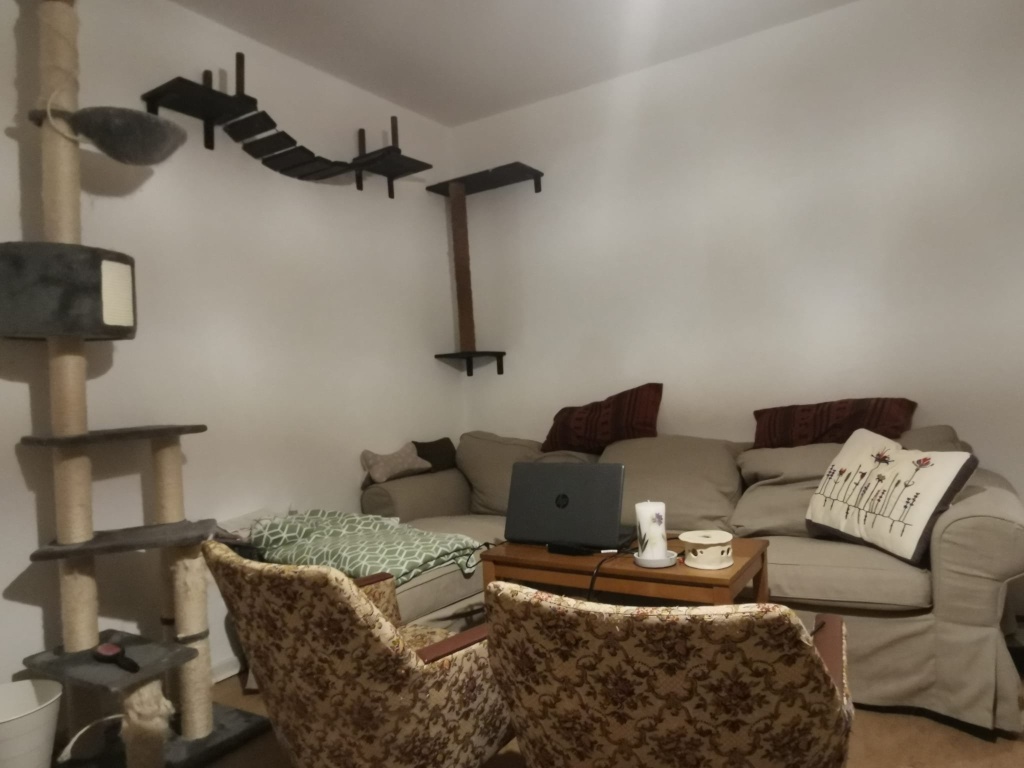 67qm Wohnung + Balkon, möbliert, in Südstadt, ganz nah am Auepark – Rembrandtstraße, 34121 Kassel Süd – Vorschaubild 6