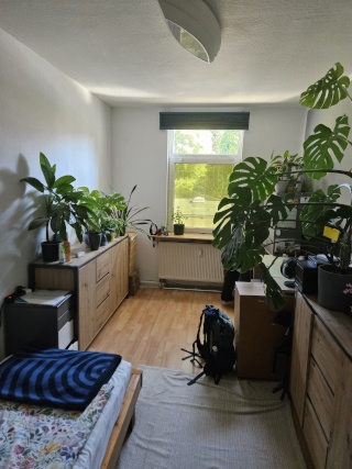 Anzeigenbild: Schönes WG-Zimmer in der Mühlenstraße
