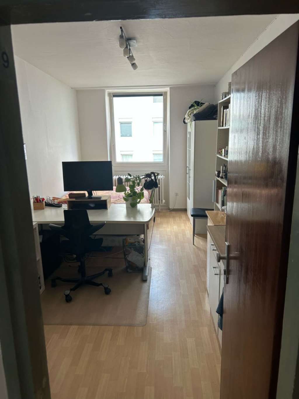 Flatshare Maxvorstadt Augustenstraße - picture 2
