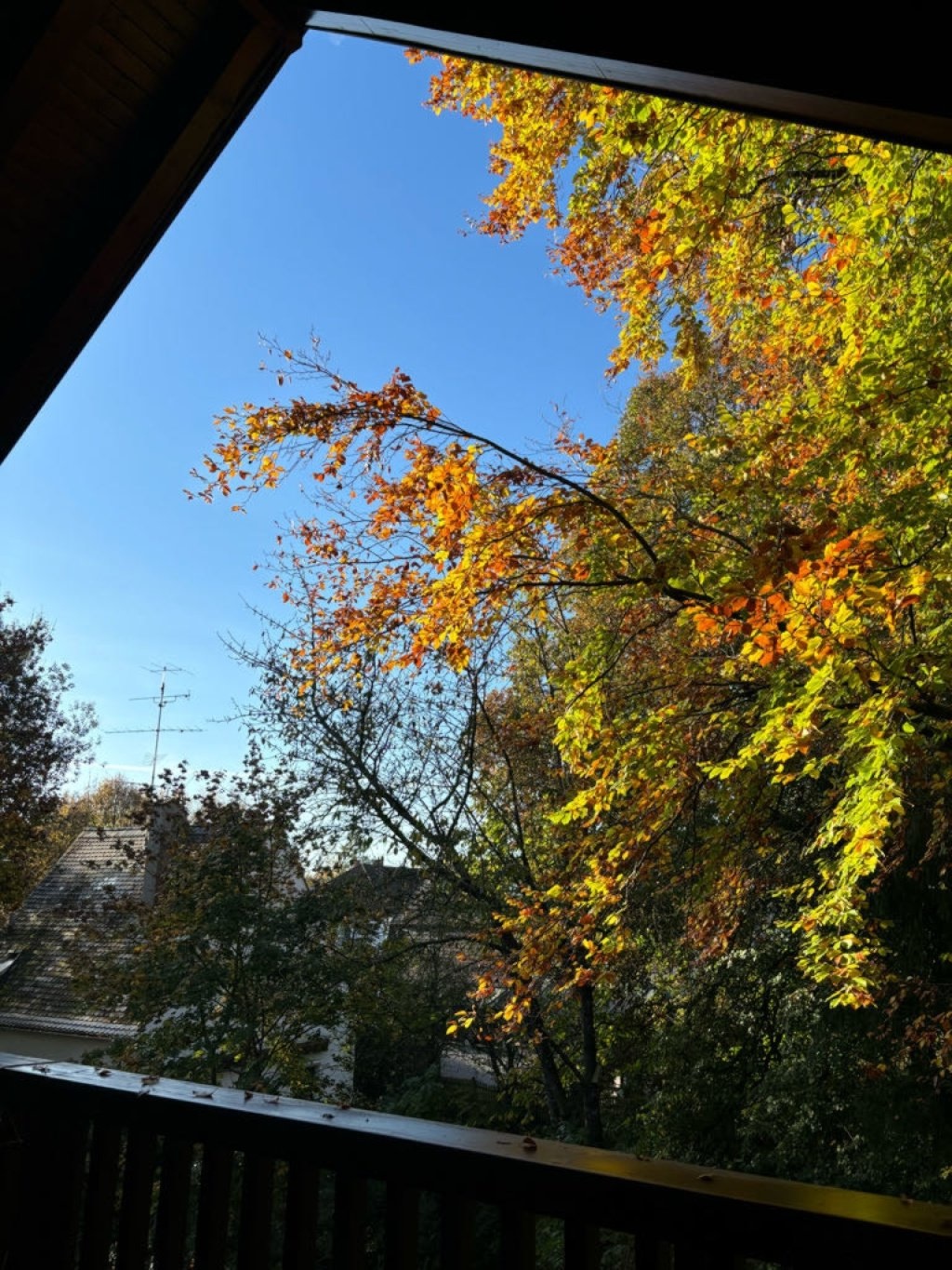 WG-Zimmer München Mühltaler Straße - ... und im Herbst
