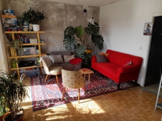 Anzeigenbild: Cozy sonnige FLINTA-WG sucht Mitbewohni