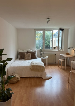 Anzeigenbild: Traumhaftes, möbliertes 1-Zimmer-Apartment