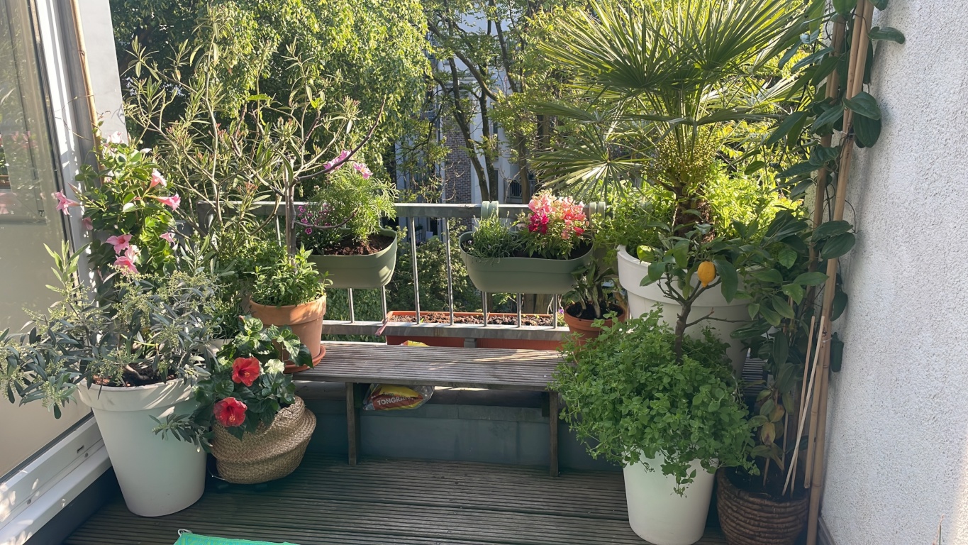 Helle möblierte Maisonette mit Balkon und Blick ins grüne im Severinsviertel – Isabellenstraße 17, 50676 Köln Severinsviertel – Vorschaubild 6