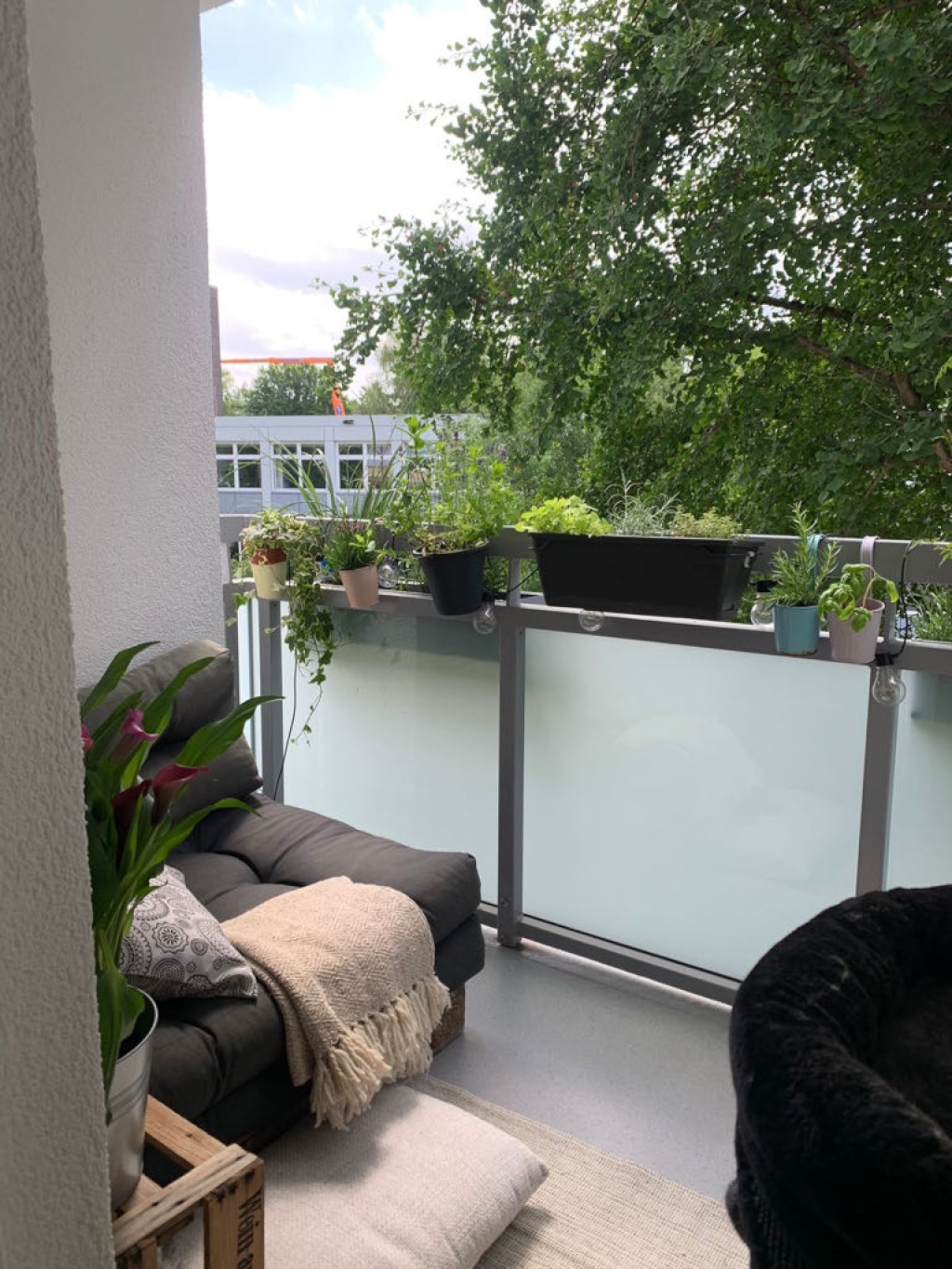 1-Zimmer-Wohnung Nordend West Francstraße - Bild 1