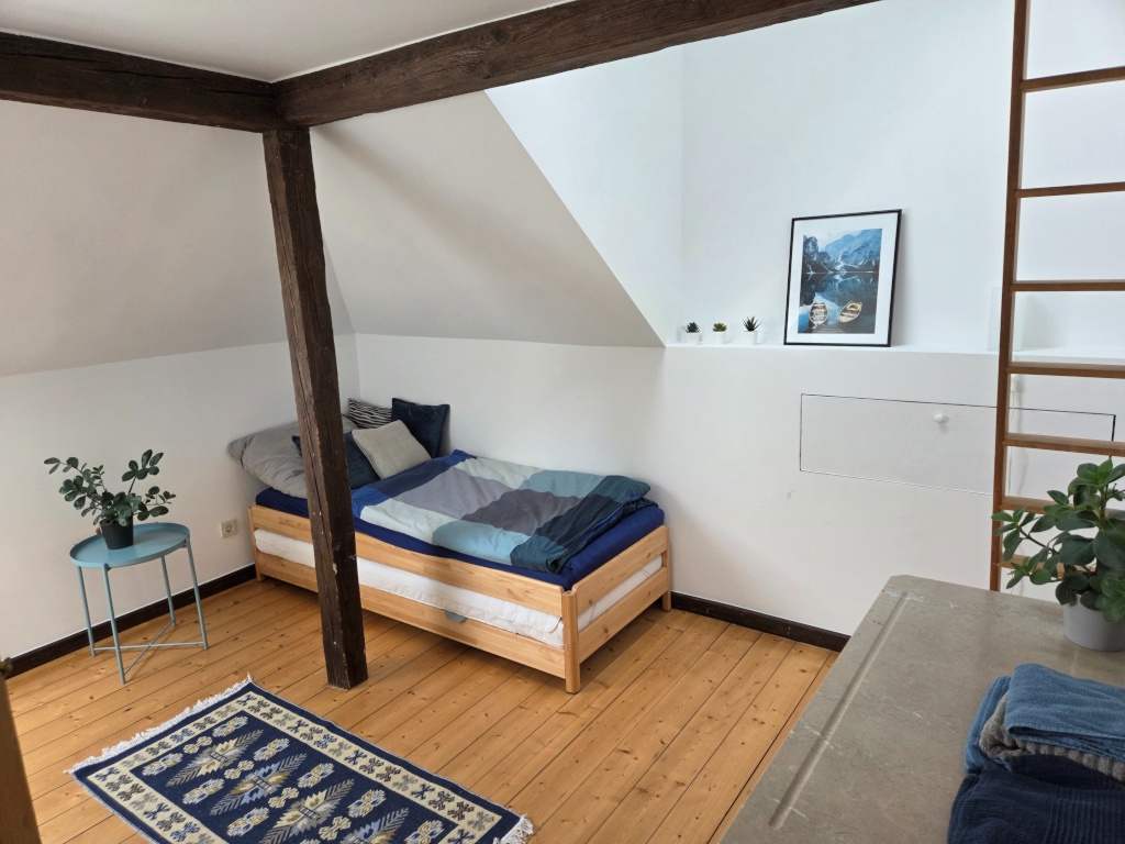 Wunderschöne 3-Zimmer-Altbauwohnung in der Bonner Südstadt zur Untermiete (12 Monate) – Lessingstraße, 53113 Bonn Südstadt – Vorschaubild 6