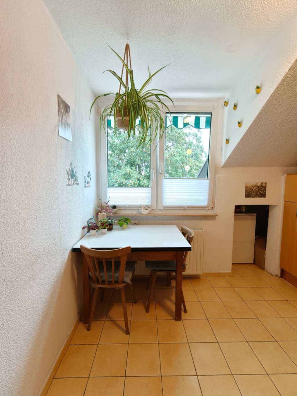 WG-Zimmer Beuel Küdinghovener Straße 69 - Unsere Küche