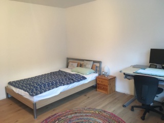 Anzeigenbild: großes, helles Zimmer in queerfreundlicher WG