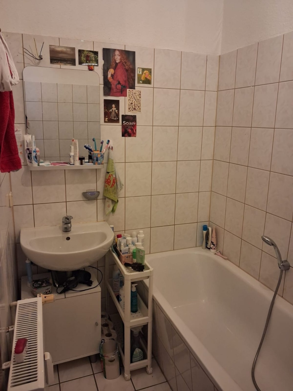 Altbauwohnung für 1-2 Personen zur Untermiete – Thomasiusstraße, 6110 Halle (Saale) Südliche Innenstadt – Vorschaubild 12