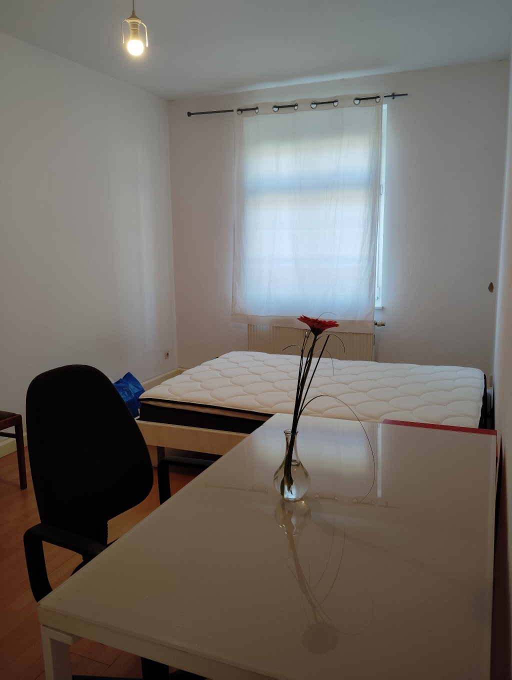 Neugründung WG Dresden – Hansastraße 36, 1097 Dresden Neustadt – Vorschaubild 5