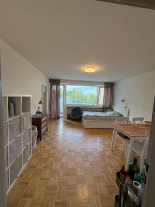 1-Zimmer Apartment zur Untermiete (Befristet!!)