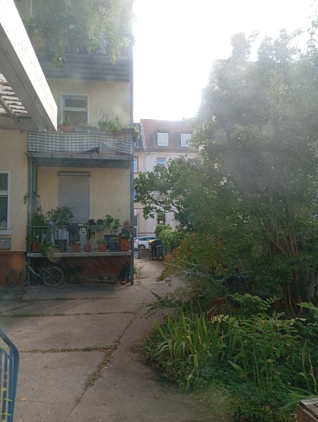 🏠 Fully Furnished Room for Rent in Darmstadt City Center – Mollerstraße, 64289 Darmstadt Darmstadt – Vorschaubild 12