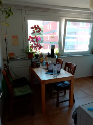 Anzeigenbild: Nette:r Mitbewohni gesucht :)