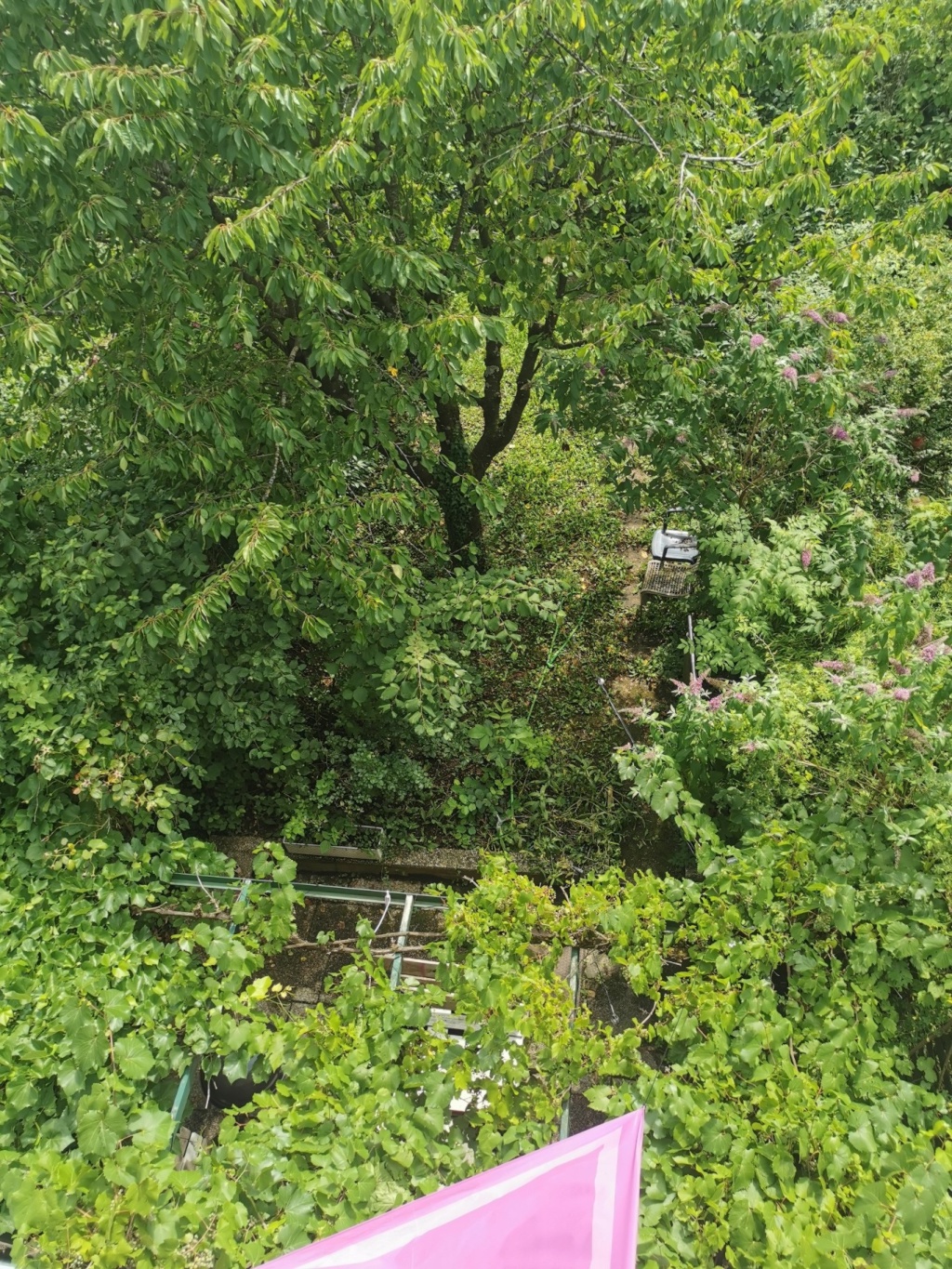 WG-Zimmer Obergiesing Bacherstraße 10 - Bild 5