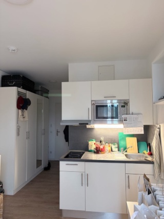 Anzeigenbild: Die Wohnung ist etwa 19,44 m2 groß.