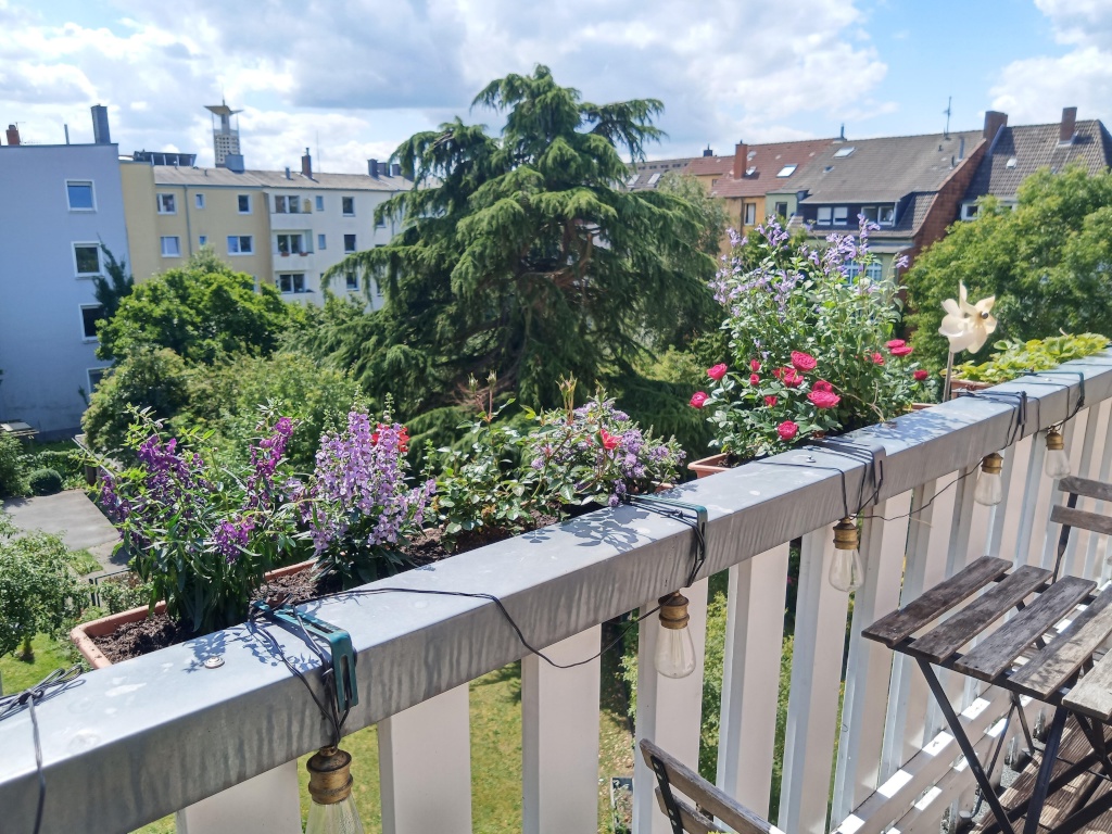 WG-Zimmer Centrum Antoniuskirchplatz - Bild 12
