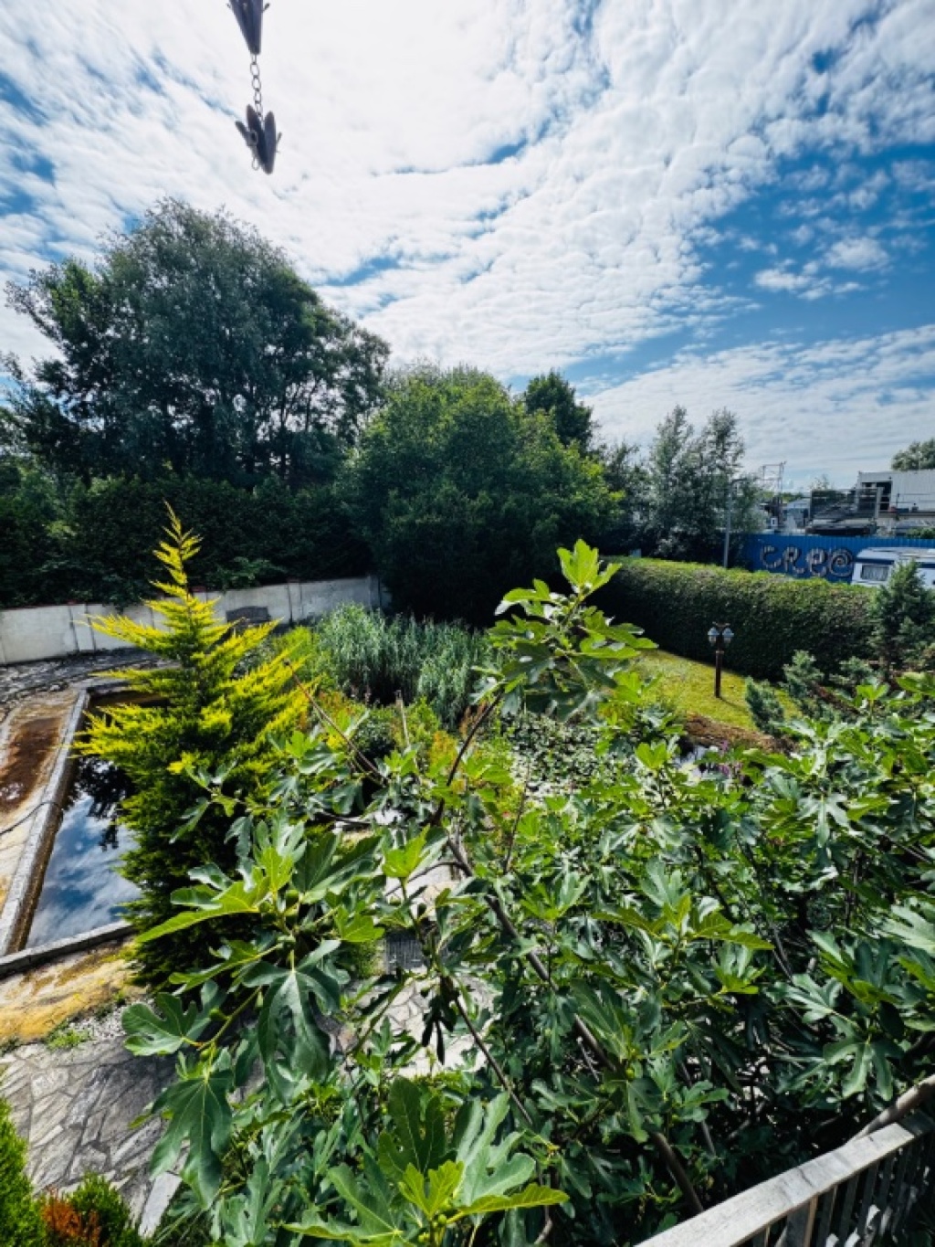 WG-Zimmer Friedrichsfelde Marzahner Chaussee 204 - Ausblick in den Garten mit Teich