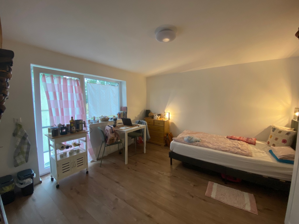 Vermiete meine gepflegte, voll möblierte 1-Zimmer-Wohnung befristet an eine zuverlässige Einzelperson – Fürstenbergstraße, 78467 Konstanz Konstanz – Vorschaubild 2