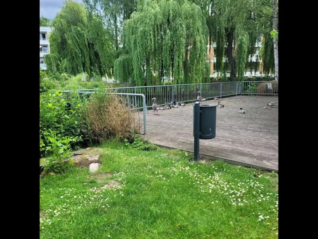 3-Zimmer-Wohnung mit Balkon in Göttingen-Grone-Nord – Pestalozziweg 4, 37081 Göttingen Grone-Nord – Vorschaubild 10