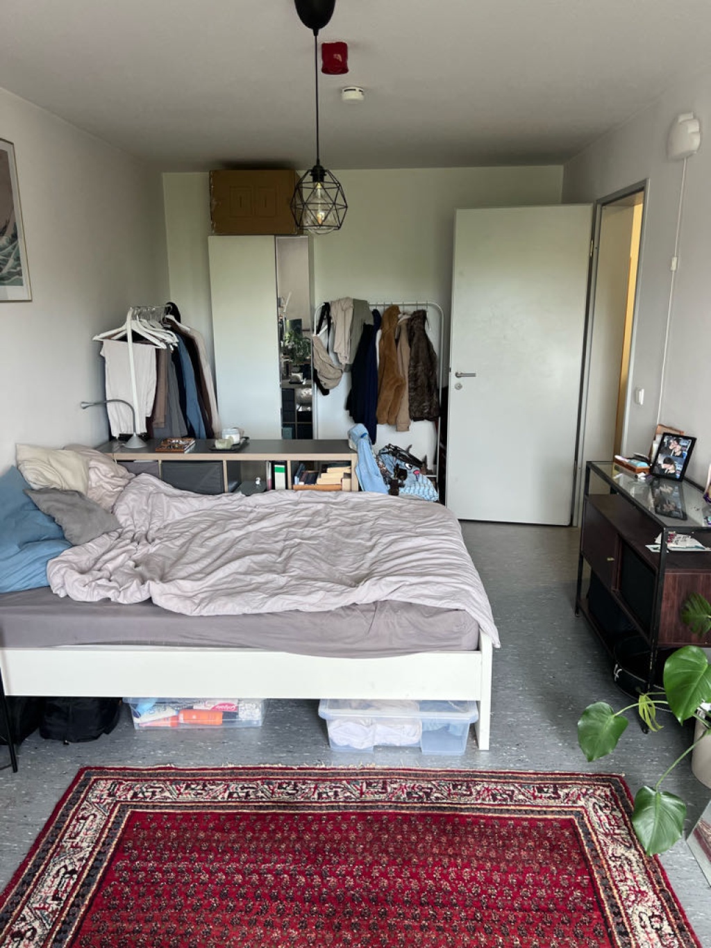 Flatshare Gievenbeck Horstmarer Landweg 250 - picture 3