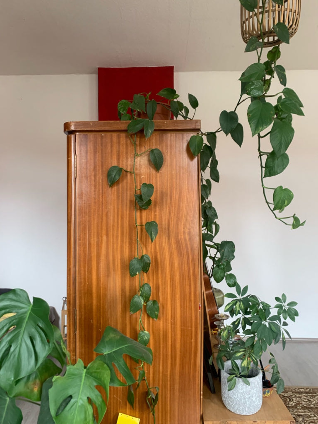 WG-Zimmer Andreasvorstadt Adalbertstraße - Bild 7