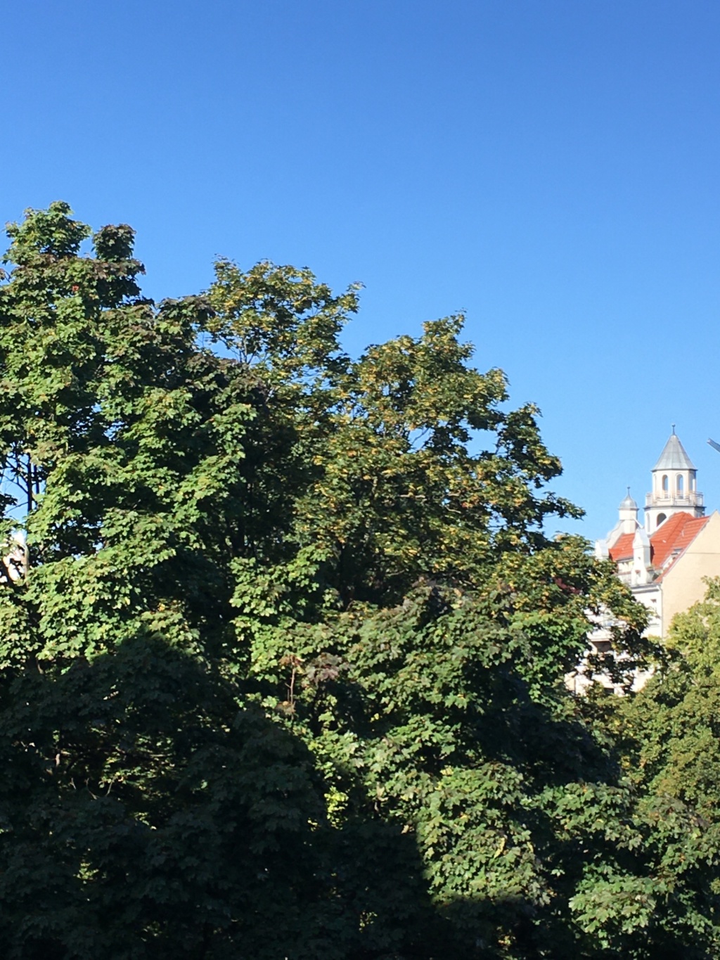 WG-Zimmer MItte Pekinger Platz - Bild 5