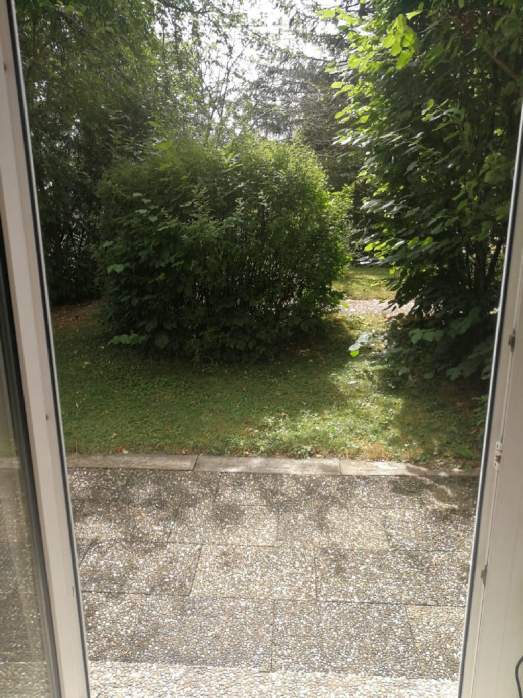 1-Zimmer-Wohnung Zentrum Schleizer Straße 29 - Bild 7