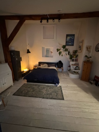 Anzeigenbild: Wg-Zimmer in toller Altbauwohnung (Befristet)