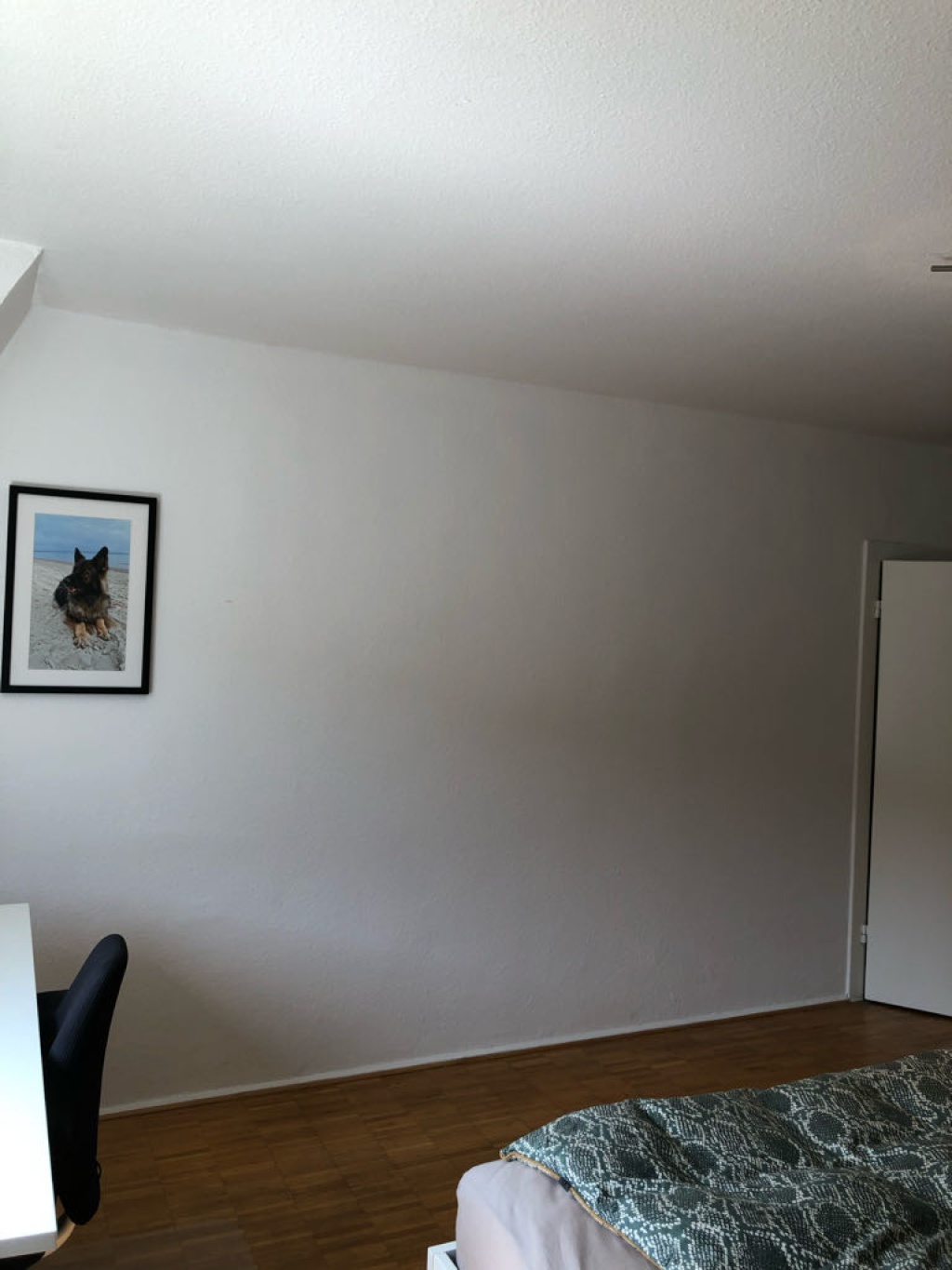 Flatshare Centrum Kettelerstraße - picture 16