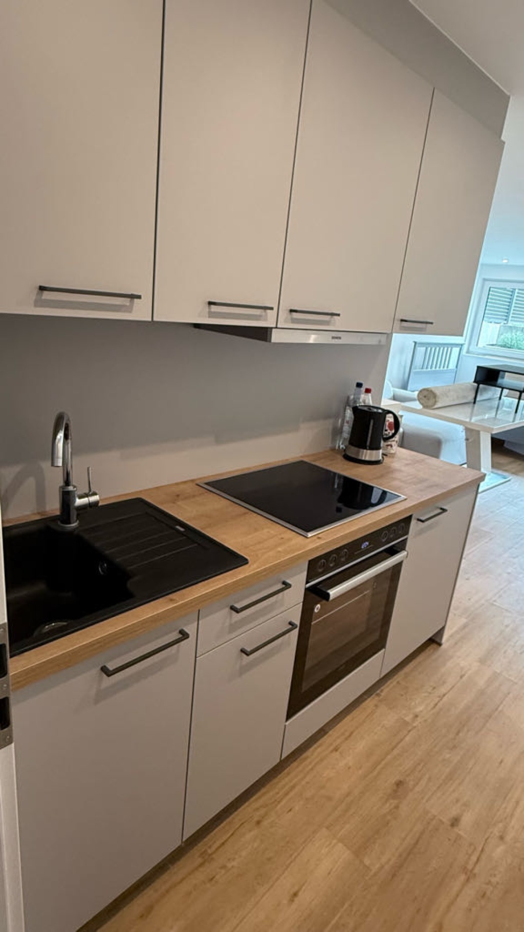 1 Room Flat Schwanheim colmarerstrasse - picture 3