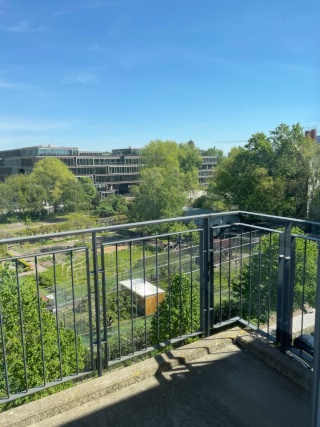 2 Zimmer in F-Hain zur Untermiete — photo 1