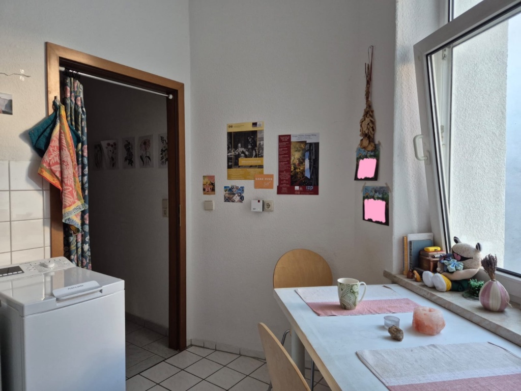 Altbauwohnung für 1-2 Personen zur Untermiete – Thomasiusstraße, 6110 Halle (Saale) Südliche Innenstadt – Vorschaubild 7