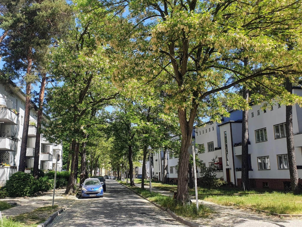 Zwischenmiete Wald & Badesee November 01.11.-01.12.2026 möblierte 2-Zimmer Wohnung in Bauhaus Waldsiedlung U3 Onkel-Toms-Hütte – Wilskistraße, 14169 Berlin Steglitz-Zehlendorf – Vorschaubild 8