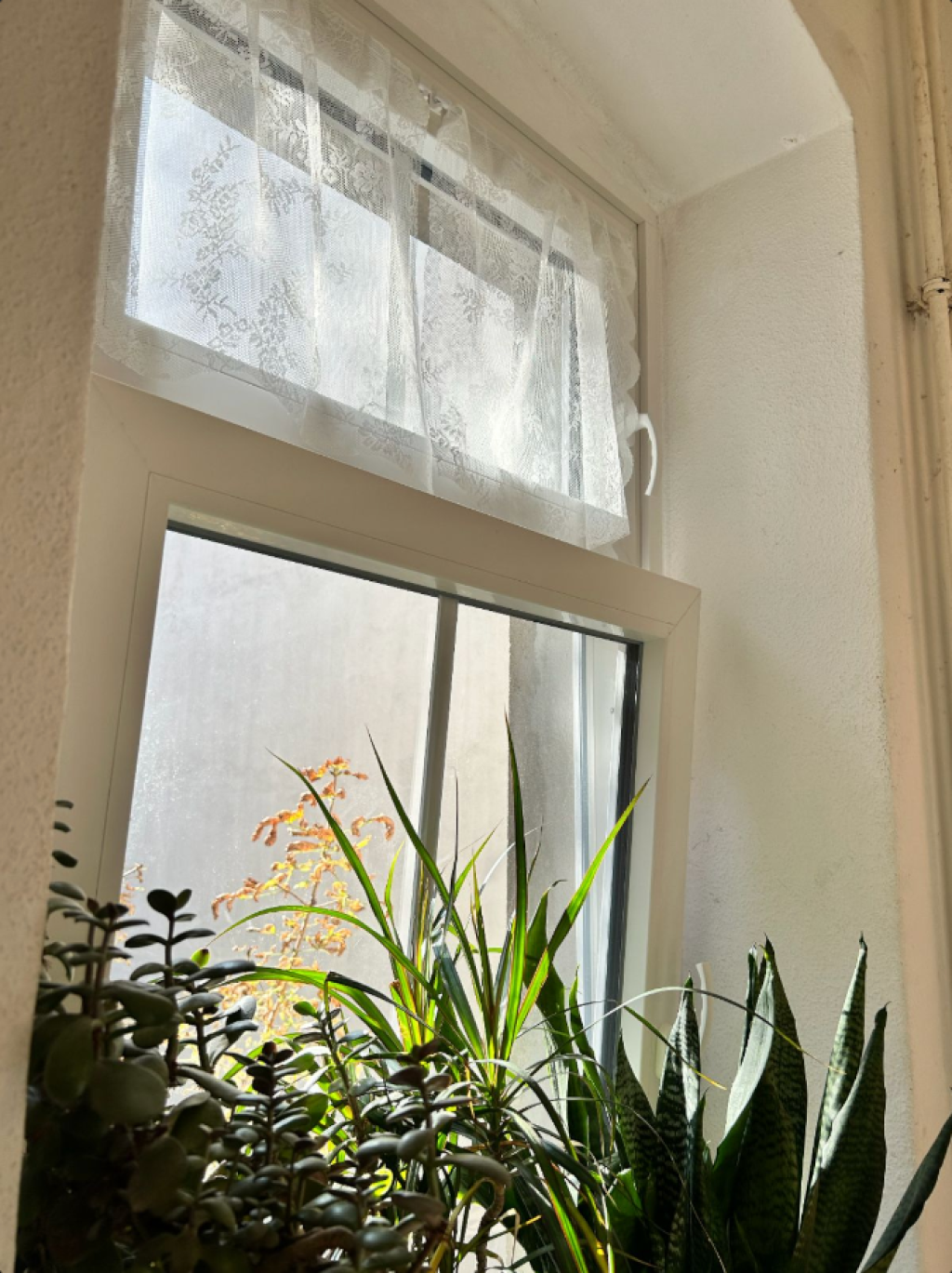 Swap ONLY!!!! NUR TAUSCH!!!!!! Biete Altbau F'hain 300 Euro Warm, Suche Neubau oder DG bis 550 warm in Ost-Berlin (F'hain, Lichtenberg, Mitte, Köpenick) – Proskauer strasse 1, 10247 Berlin Friedrichshain – Vorschaubild 10