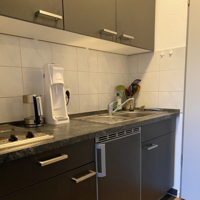 Möblierte 1-Zimmer-Wohnung zu Untermiete – Am Schwanenmorgen, 53121 Bonn Endenich – Vorschaubild 6