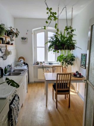 Vermiete 20qm-Zimmer in heller und zentraler 2-Zimmer-Wohnung (62 qm; zweites Zimmer kann mitgenutzt werden) in Friedric — photo 1