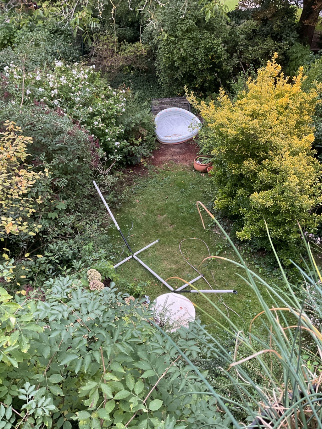 Habitación en WG Centrum Bergstraße - Der Garten ist zwar ein kleiner Urwald, aber mit „Mini-Pool“, Hängemattengestell und der Möglichkeit im Herbst Walnüsse zu sammeln
