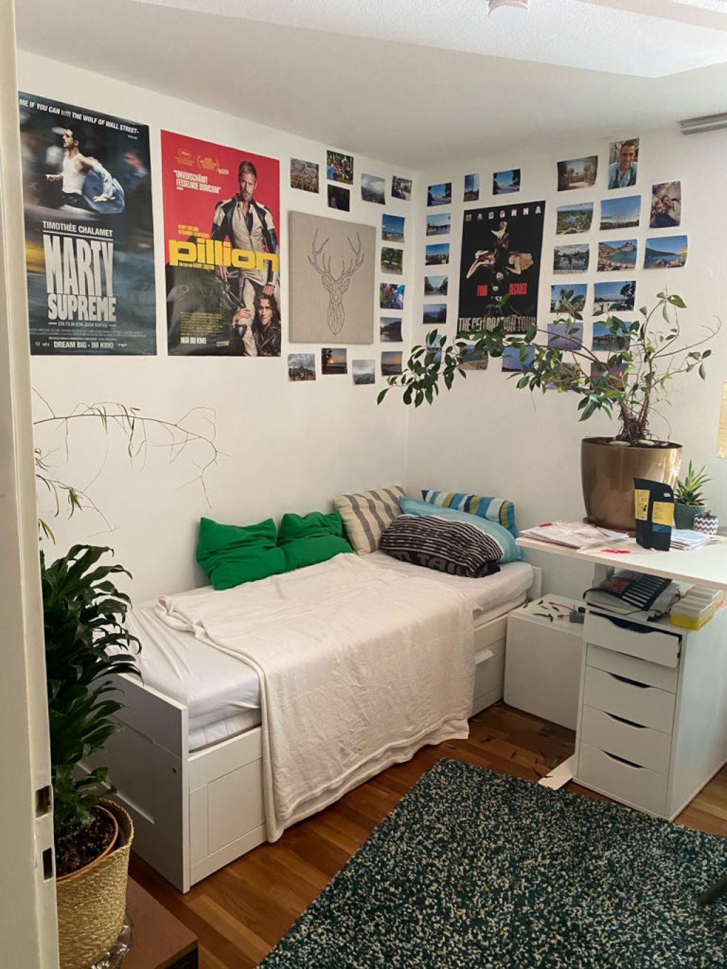 WG-Zimmer Innenstadt Öglinstraße 4 - Zimmer Foto